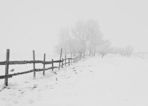 Winterliche Landschaften bedeuten Gefahren im Autoverkehr