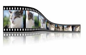Videoschnitt leicht gemacht: mit der passenden Software kein Problem