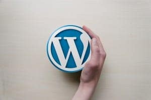 Top 10 Möglichkeiten den WordPress Adminbereich zu individualisieren - Eine Nahaufnahme von einem Ball - WordPress