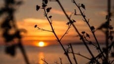 Urlaubsorte auf Mallorca: Sonne & Natur
