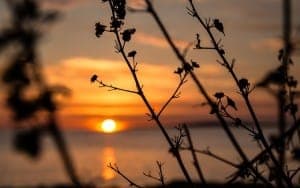 Urlaubsorte auf Mallorca: Sonne & Natur